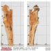 Live Edge Figured Maple Slab 41.5”L x 8.25”W x 1.5” Thick 