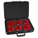 Radius Quick Jig 6pc Set in Woodpeckers Case 