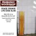 LIVE EDGE OSAGE ORANGE SLAB 48in. L X  12.5in. W X 1.25in. T