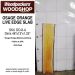 LIVE EDGE OSAGE ORANGE SLAB 48in. L X  13in. W X 1.25in. T