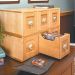 Woodsmith DVD Storage Case Standard Plan – 8.5” x 11” Print (Shipped to You)